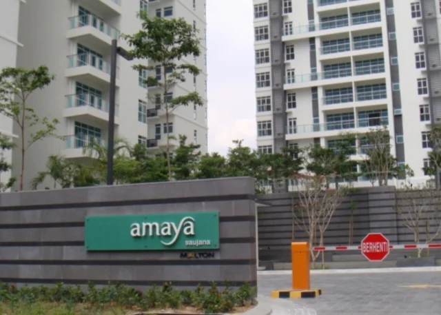 Amaya Saujana — photo 1