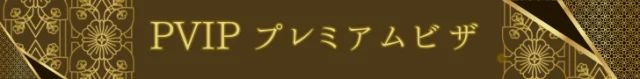 PVIPガイド
